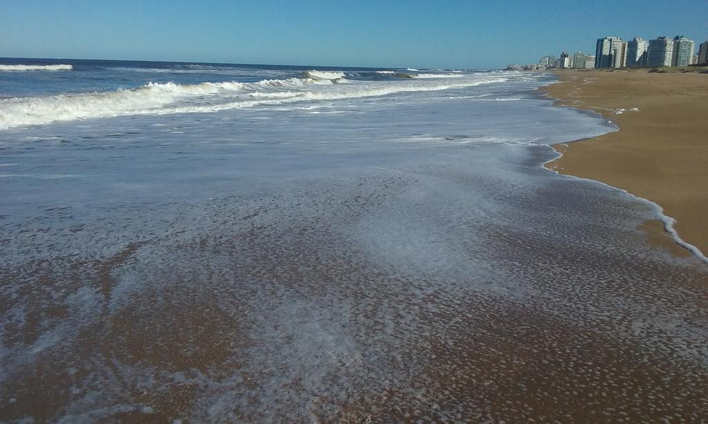 Spiaggia Brava Punta Punta del Este Esterno foto